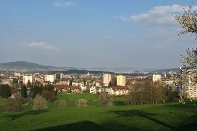 Umzug von Dietikon nach Österreich