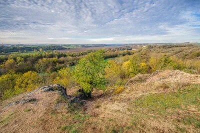 Umzug von Halle nach Österreich
