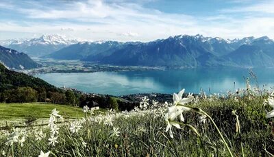 Umzug von Montreux nach Österreich
