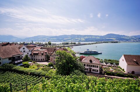 Umzug von Rapperswil-Jona nach Österreich