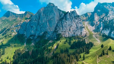 Umzug von Schwyz nach Österreich